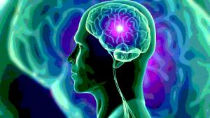 stroke_excellereneuro